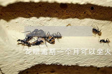 花呗逾期一个月可以坐火车吗 花呗逾期一个月可以坐火车吗