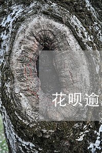 花呗逾期一个月可以申请信用卡吗 花呗逾期一个月可以申请信用卡吗