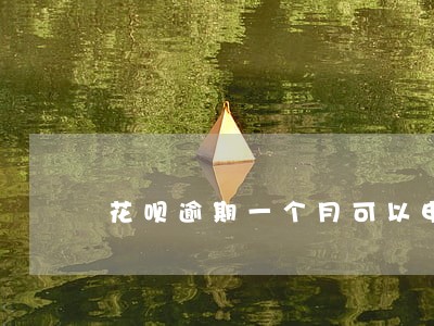 花呗逾期一个月可以申请延期吗 花呗逾期一个月可以申请延期吗