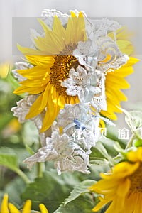 花呗逾期一个月后多久能解除冻结 花呗逾期一个月后多久能解除冻结