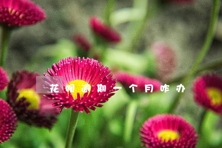 花呗逾期一个月咋办 花呗逾期一个月咋办