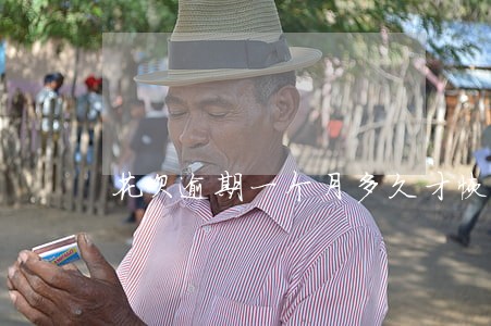 花呗逾期一个月多久才恢复 花呗逾期一个月多久才恢复