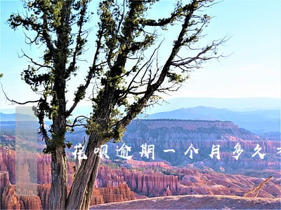花呗逾期一个月多久才能恢复 花呗逾期一个月多久才能恢复