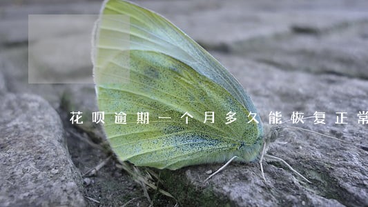 花呗逾期一个月多久能恢复正常 花呗逾期一个月多久能恢复正常