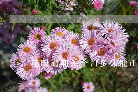 花呗逾期一个月多久能正常用
