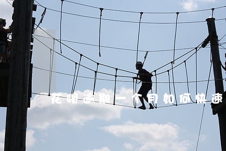 花呗逾期一个月如何快速解冻 花呗逾期一个月如何快速解冻