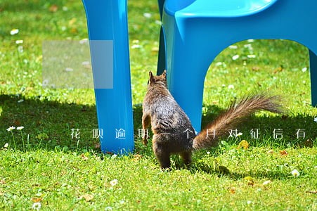 花呗逾期一个月对征信有影响吗 花呗逾期一个月对征信有影响吗