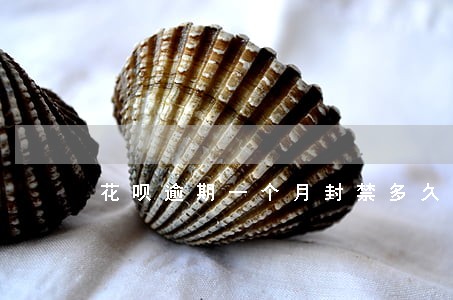 花呗逾期一个月封禁多久 花呗逾期一个月封禁多久