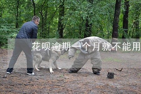花呗逾期一个月就不能用了 花呗逾期一个月就不能用了