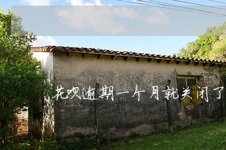 花呗逾期一个月就关闭了 花呗逾期一个月就关闭了