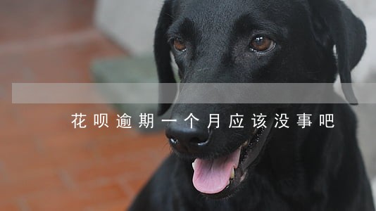 花呗逾期一个月应该没事吧 花呗逾期一个月应该没事吧