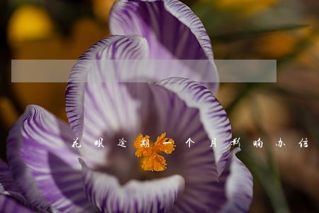 花呗逾期一个月影响办信用卡吗 花呗逾期一个月影响办信用卡吗