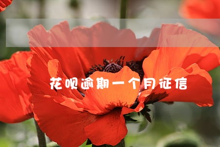 花呗逾期一个月征信 花呗逾期一个月征信