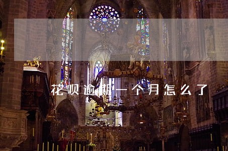花呗逾期一个月怎么了 花呗逾期一个月怎么了