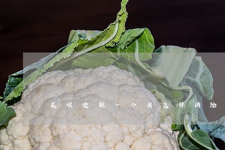 花呗逾期一个月怎样消除 花呗逾期一个月怎样消除