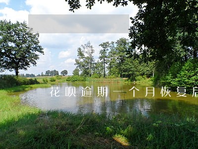 花呗逾期一个月恢复后多久解封 花呗逾期一个月恢复后多久解封