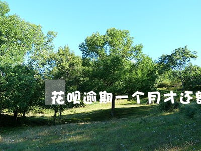 花呗逾期一个月才还额度没有了 花呗逾期一个月才还额度没有了
