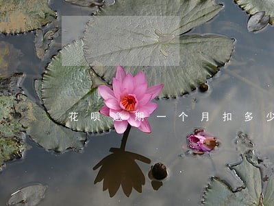 花呗逾期一个月扣多少利息
