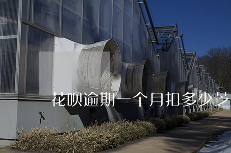 花呗逾期一个月扣多少芝麻 花呗逾期一个月扣多少芝麻