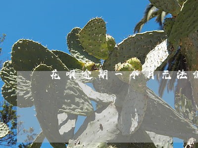 花呗逾期一个月无法使用花呗 花呗逾期一个月无法使用花呗