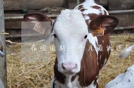 花呗逾期一个月最低还款变全款了 花呗逾期一个月最低还款变全款了