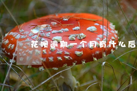 花呗逾期一个月有什么后果 花呗逾期一个月有什么后果