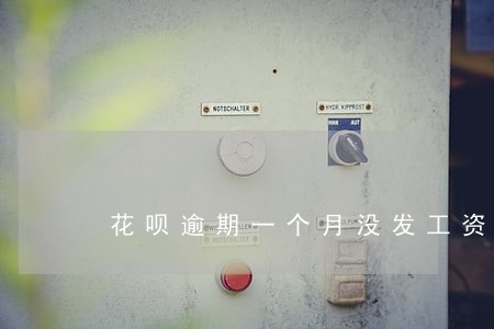 花呗逾期一个月没发工资怎么办 花呗逾期一个月没发工资怎么办