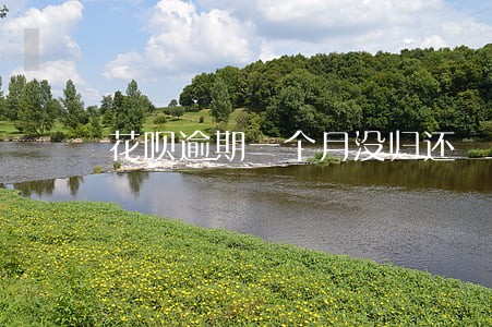 花呗逾期一个月没归还 花呗逾期一个月没归还
