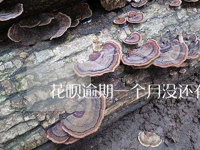 花呗逾期一个月没还有事没 花呗逾期一个月没还有事没