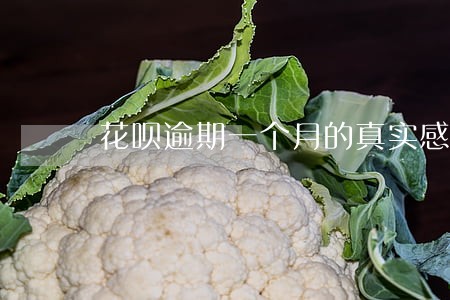 花呗逾期一个月的真实感受 花呗逾期一个月的真实感受