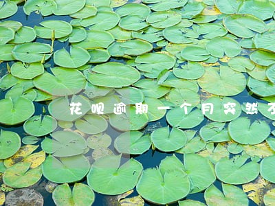 花呗逾期一个月突然不打电话