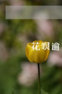 花呗逾期一个月罚多少钱 花呗逾期一个月罚多少钱
