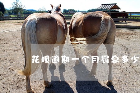 花呗逾期一个月罚息多少会停 花呗逾期一个月罚息多少会停
