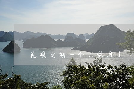 花呗逾期一个月能用了 花呗逾期一个月能用了