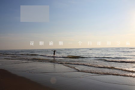 花呗逾期一个月能用芝麻粒抹掉么 花呗逾期一个月能用芝麻粒抹掉么