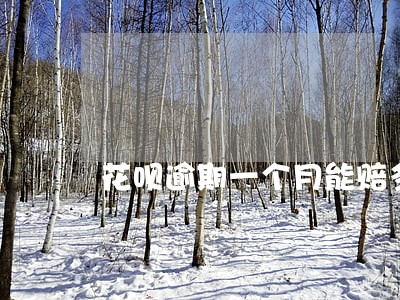 花呗逾期一个月能赔多少钱 花呗逾期一个月能赔多少钱