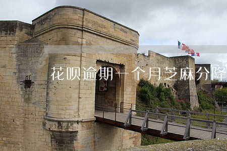 花呗逾期一个月芝麻分降多少 花呗逾期一个月芝麻分降多少