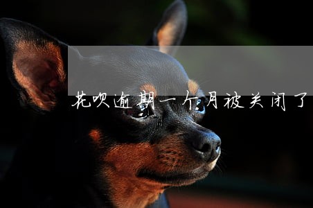 花呗逾期一个月被关闭了 花呗逾期一个月被关闭了
