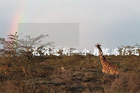 花呗逾期一个月被冻结还能用吗 花呗逾期一个月被冻结还能用吗