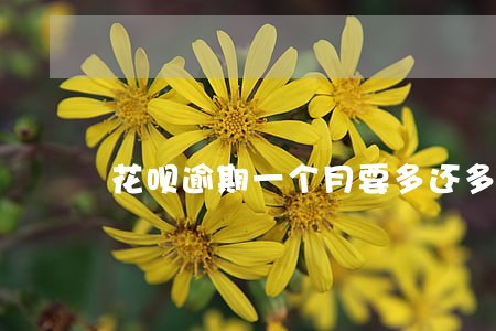 花呗逾期一个月要多还多少