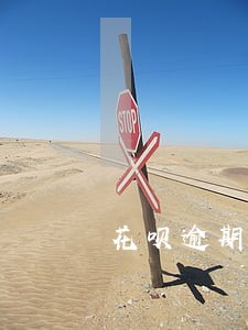 花呗逾期一个月要还全款吗 花呗逾期一个月要还全款吗