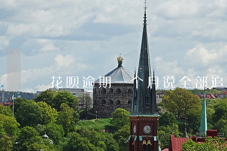花呗逾期一个月说全部追回本金 花呗逾期一个月说全部追回本金