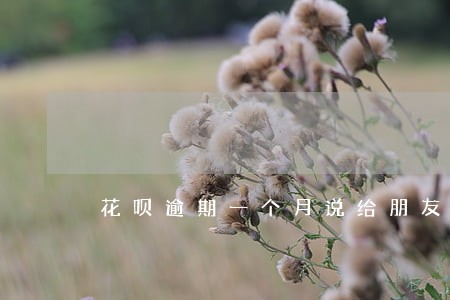 花呗逾期一个月说给朋友打电话
