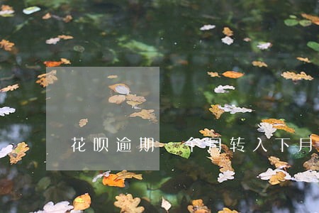 花呗逾期一个月转入下月账单 花呗逾期一个月转入下月账单