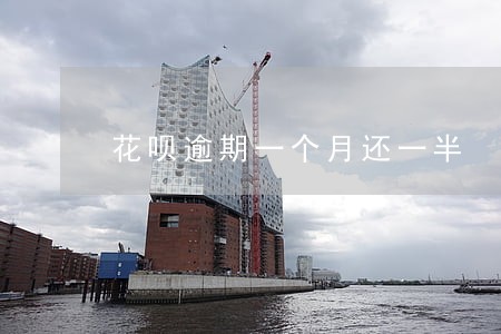 花呗逾期一个月还一半