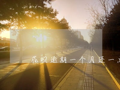 花呗逾期一个月还一点 花呗逾期一个月还一点