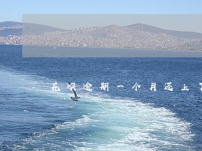 花呗逾期一个月还上了影响征信吗 花呗逾期一个月还上了影响征信吗