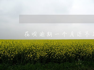 花呗逾期一个月还不上征信吗 花呗逾期一个月还不上征信吗