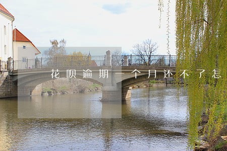 花呗逾期一个月还不了怎么办