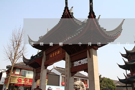 花呗逾期一个月还了可以分期车吗